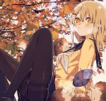 1girl autumn_leaves bangs black_footwear black_sailor_collar black_skirt blush commentary_request day eyebrows_behind_hair feet_out_of_frame food hair_between_eyes hedgehog highres knees_up leaf long_hair looking_at_viewer maple_leaf mole mole_under_eye neckerchief orange_eyes original outdoors pantyhose parted_lips pleated_skirt revision sailor_collar school_uniform serafuku signature skirt sofra solo steam sweater sweet_potato thighband_pantyhose twitter_username white_neckwear yakiimo yellow_sweater 