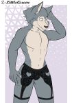  beastars bulge canid canine canis clothing girly hi_res legoshi_(beastars) lingerie male mammal solo wolf z-littlequeen 