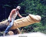  inanimate tagme tree wood 