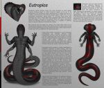  2025 4_arms absurd_res anthro apode athletic black_body black_claws black_flesh black_mouth black_scales black_sclera clawed_hands claws cobra detailed detailed_scales diamond_(marking) draconcopode english_text eutropios eye_shot fangs finger_claws forearms forked_tongue fridaflame front_view grey_body grey_scales hi_res legless looking_at_viewer male markings model_sheet mouth_shot multi_arm multi_limb multiple_poses muscle_tone naga open_mouth pecs pose pupils rear_view red_body red_eyes red_scales reptile scale_markings scaled_forearms scaled_hands scales scalie scaly_tail serpentine slit_pupils smile smiling_at_viewer snake snake_hood solo tail teeth text toned_body toned_male toned_muscles tongue ventral_scales 