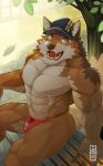  abs anthro barrel_(live-a-hero) better_version_at_source biceps bulge canid canine canis clothing excited hat headgear headwear live-a-hero male mammal mumu202 muscular muscular_anthro muscular_male nipples outside pecs sitting solo thong underwear wolf 