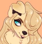  2d_(artwork) accessory anthro bird_dog blonde_hair canid canine canis carah_(smoreflavored) daisypinkpaws_(artist) digital_drawing_(artwork) digital_media_(artwork) domestic_dog female fur golden_retriever hair hair_accessory hair_bow hair_ribbon headshot_portrait hunting_dog mammal neck_tuft portrait profile_picture retriever ribbons simple_background solo tuft yellow_body yellow_fur 