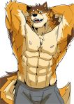  abs absurd_res anthro asiahao520 barrel_(live-a-hero) bottomwear canid canine canis clothed clothing flexing hands_behind_head hi_res live-a-hero looking_at_viewer male mammal muscular muscular_anthro muscular_male nipples pants pecs raised_arm solo topless wolf 