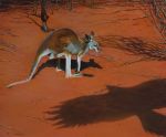  ambiguous_gender feral kangaroo macropod mammal marsupial oil_painting_(artwork) outside painting_(artwork) red_kangaroo shadow solo traditional_media_(artwork) tree wildartguy 