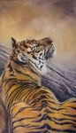  ambiguous_gender felid feral irenadem mammal oil_painting_(artwork) outside painting_(artwork) pantherine solo tiger traditional_media_(artwork) tree whiskers 