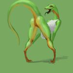  1:1 animal_genitalia anthro bent_over bottomless butt cloaca clothed clothing female genitals green_background green_body hi_res lizard looking_at_viewer looking_back meandraco open_mouth presenting presenting_hindquarters rear_view red_eyes reptile scalie shirt simple_background solo tongue tongue_out topwear 
