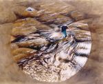  ambiguous_gender anatid anseriform avian bird detailed duck dusky_moorhen feral oil_painting_(artwork) outside painting_(artwork) realistic river solo traditional_media_(artwork) water wildartguy 