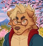 animated anthro blushing_at_viewer canid canine cherry_blossom digital_media_(artwork) embarrassed eyewear flower glasses grumpyfart icon kodii looking_at_viewer male mammal pixel_(artwork) pixel_animation plant prunus_(flower) shirtless smile solo tongue