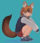  alternate_costume animal_ears blue_footwear brown_eyes brown_hair dhole_(kemono_friends) dog_ears dog_girl dog_tail extra_ears eyebrows_visible_through_hair grey_hoodie highres hood hood_down hoodie jacket kemono_friends kemono_friends_3 letterman_jacket light_brown_hair long_sleeves looking_at_viewer multicolored_hair red_shorts rumenia_(ao2is) shoes short_shorts shorts sidelocks sneakers squatting tail white_hair 