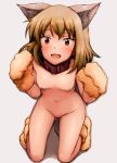  1girl :d animal_ear_fluff animal_ears bangs black_collar blush bob_cut breasts brown_eyes brown_hair cat_ears cat_feet collar commentary from_above full_body highres idolmaster idolmaster_million_live! kneeling looking_at_viewer looking_up nagayoshi_subaru navel negija nude open_mouth paws raised_eyebrows red_eyes short_hair simple_background small_breasts smile solo tail white_background 