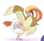  balancing blush brown_body brown_feathers craymin cropped diaper feathers feral male nintendo pidgeot pok&eacute;mon pok&eacute;mon_(species) raised_leg solo spread_wings suprised_look surprise video_games waddling wings 