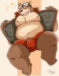  11768hoshi 2020 anthro belly blush brown_body brown_fur bulge canid canine canis clothing domestic_dog fur hi_res kemono male mammal moobs navel nipples one_eye_closed overweight overweight_anthro overweight_male solo underwear wink 