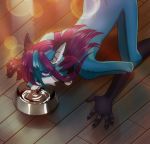  anthro bluefox canid canine fox girly grimart hi_res male mammal nyaaa_foxx pet petplay roleplay solo 