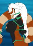  2018 ailurid anthro arms_tied ayako_(thunderstep) bdsm blue_background bondage bound breasts butt female gag gagged goliathcpg green_eyes green_rope hair hands_behind_back mammal nipple_piercing nipple_ring nipples open_mouth open_mouth_gag piercing red_panda ring_gag rope rope_bondage simple_background solo tongue tongue_out white_hair 