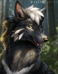  2020 anthro black_body black_fur black_nose blurred_background bust_portrait canid canine canis day detailed_background fangs fur hi_res light lighting mammal multicolored_body multicolored_fur open_mouth open_smile outside portrait rhythmpopfox signature smile solo teeth tongue tree two_tone_body two_tone_fur whiskers white_body white_fur wolf 