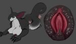 ambiguous_gender ambiguous_species anthro anus big_butt black_body black_claws black_fur breasts butt butt_in_face claws duo female female/ambiguous fizzpop fur genitals goblin grey_body grey_fur hi_res human human_on_anthro hybrid interspecies larger_anthro larger_male male male_anthro mammal nipples pink_vulva presenting presenting_hindquarters presenting_vulva purple_nipples red_anus size_difference smaller_human tail thick_tail unnamed_goblin_(validheretic) vulva