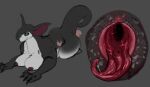 ambiguous_gender ambiguous_species anthro anus big_butt black_body black_claws black_fur breasts butt butt_in_face claws duo female female/ambiguous fizzpop fur gaping gaping_vagina genitals goblin grey_body grey_fur hi_res human human_on_anthro hybrid interspecies larger_anthro larger_male male male_anthro mammal nipples pink_vulva presenting presenting_hindquarters presenting_vulva purple_nipples red_anus size_difference smaller_human tail thick_tail unnamed_goblin_(validheretic) vulva