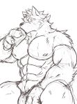  absurd_res anthro barrel_(live-a-hero) canid canine canis drinking flaccid genitals hi_res inuyama_kensin live-a-hero male mammal muscular muscular_anthro muscular_male nipples pecs penis penis_base sketch solo wolf 