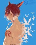  1boy absurdres animal_ears archon_mark bird blue_background braid braided_ponytail cat_boy cat_ears closed_mouth commentary facial_mark final_fantasy final_fantasy_xiv from_behind g'raha_tia gradient_hair hair_between_eyes highres long_hair looking_at_viewer male_focus miqo'te multicolored_hair neck_tattoo no_shirt red_eyes red_hair serious shoulder_tattoo simple_background single_braid slit_pupils solo tattoo turning_head twitter_username upper_body watermark white_bird white_hair zircoot 