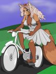  3:4 ailurid anthro bicycle breasts cleavage clothed clothing dress female fur hair hi_res mammal outside red_panda ringtail sailoranna solo 
