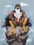  3:4 anthro avian beak bird bird_feet brown_body brown_feathers claws erection falcon falconid feathers genitals glare hi_res male nude penis sitting solo talons tapering_penis toe_claws vulgarstarling winged_arms wings 