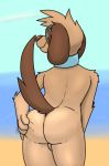  anus balls beach brown_body brown_fur butt canid canine canis domestic_dog fur genitals hi_res housepets! joey_(housepets!) looking_at_viewer male mammal outside presenting presenting_anus seaside simple_background solo trashbadger webcomic 