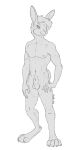  5_fingers animal_genitalia anthro fingers genitals hare lagomorph leporid male malik_(hare) mammal monochrome nanashi-arts nipples pinup pose pubes realistic_anatomy sheath sketch smile solo standing 