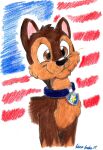 2013 american_flag black_nose blue_collar brown_body brown_ears brown_eyes brown_fur canid canine canis chase_(paw_patrol) collar domestic_dog duo feral fur german_shepherd herding_dog male mammal multicolored_body multicolored_fur nickelodeon pastoral_dog paw_patrol pink_inner_ear pointy_ears prick_ears silversimba01 tan_body tan_fur traditional_media_(artwork) two_tone_body two_tone_fur united_states_of_america