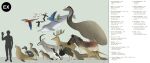 2018 absurd_res aepyornis aepyornis_maximus aepyornithiform alcid ambiguous_gender anatid animal_genitalia anseriform antelope antlers aquatic avian baiji beak bird black_beak black_body black_feathers bloubok blue_body blue_feathers bluebuck bovid brown_body brown_fur canid caribbean_monk_seal carolina_conure carolina_parakeet casuariid casuariiform cervine cetacean charadriiform columbid columbiform cuban_macaw cuban_red_macaw dasyuromorph deer dodo dolphin duck elephant_bird emu equid equine falkland_islands_fox falkland_islands_wolf feathers feral flying french_text fur genitals glaucous_macaw great_auk green_body green_feathers grey_background grey_body grey_feathers grey_skin hi_res horn human ivory-billed_woodpecker japanese_sea_lion king_island_emu labrador_duck lari lipotid macaw mammal marsupial multicolored_body multicolored_fur neotropical_parrot otariid parrot passenger_pigeon phocid picid piciform pigeon pinniped plains_zebra psittacid quagga rainbowleo ratite recently_extinct_species red_body red_feathers river_dolphin rodrigues_solitaire schomburgk's_deer scientific_name seal sheath simple_background species_name striped_body striped_fur stripes text thylacine toothed_whale true_parrot warrah whiskers woodpecker yellow_body yellow_feathers zebra