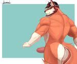 6:5 adrovmike anthro artist_name beard big_penis blue_eyes border brown_hair butt canid canine canis clothing domestic_dog erection facial_hair fingers fur furgonomic_headwear furgonomics genitals glans green_background hair half-length_portrait hat hat_only headgear headgear_only headwear headwear_only hi_res humanoid_genitalia humanoid_hands humanoid_penis male mammal mostly_nude muscular muscular_anthro muscular_male orange_body orange_fur penis portrait rear_view short_hair simple_background smile solo standing tail text three-quarter_view white_body white_border white_fur