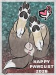 2026 absurd_res alaskan_husky ankle_tuft anus ball_bulge balls bent_legs big_butt border_collie brown_body brown_fur butt butt_fluff canid canine canis collie digital_media_(artwork) domestic_dog faeri_(sparklepupfaeri) feet fluffy fur genitals heart_reaction herding_dog hi_res husky leg_tuft legs_up male mammal mixed_breed multicolored_body multicolored_fur nonbinary_(lore) nordic_sled_dog pastoral_dog pawpads paws presenting procreate_(artwork) sheepdog solo sparklepupfaeri spitz tan_body tan_fur tan_legs text tuft white_feet