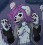 5_fingers absurd_res animal_plushie anthro areola arm_grab bear_plushie bed bedding bedroom belly belly_piercing black_arms black_body black_claws black_fur black_nipples black_nose black_pawpads blanket blue_background blue_bedding blush blush_lines blushing_profusely bodily_fluids breasts brown_eyes canid canine canis claws clothing detailed detailed_fur digital_media_(artwork) domestic_dog dominant dominant_male duo ear_piercing ear_ring female fingers first_person_view floppy_ears foreplay fur furniture golden_piercing hair hi_res holding_another holding_another's_arm jewelry looking_at_another looking_at_partner looking_at_viewer lying male male/female male_dominating_female mammal markings marks_on_body multicolored_body multicolored_fur navel nipples on_back on_bed on_bedding open_mouth pawpads paws pendant piercing pillow pink_hair plushie ring_piercing saliva saliva_string shirt simple_background small_breasts spots spotted_body spotted_fur spotted_markings squeezing stoneonamoss tail teeth tongue topwear two_colored_body two_colored_fur two_tone_body two_tone_fur white_body white_fur