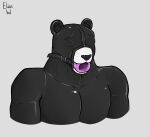 2026 bdsm bear black_hair bodily bodily_fluids bondage bondage_gear bound clothing eliasvol fur gag gagged giant_panda gimp_suit glistening glistening_body hair hi_res hood latex latex_clothing latex_skinsuit male mammal musclegut muscular patch_(bowserk44) penetrable_gag penetrable_sex_toy penetrable_sex_toy_in_mouth saliva saliva_string sex_toy skinsuit slightly_chubby tight_clothing white_body white_fur