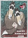 absurd_res alaskan_husky ankle_tuft anus bent_legs blush body_blush border_collie brown_body brown_fur butt butt_fluff canid canine canis collie digital_media_(artwork) disembodied_butt domestic_dog faeri_(sparklepupfaeri) feet female fluffy fur genitals heart_reaction herding_dog hi_res husky leg_tuft legs_up mammal mixed_breed multicolored_body multicolored_fur nonbinary_(lore) nordic_sled_dog pastoral_dog pawpads paws pink_vulva presenting procreate_(artwork) sheepdog solo sparklepupfaeri spitz tan_body tan_fur tan_legs tuft vulva vulva_blush white_feet