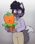 2025 4:5 5_fingers acstlu anthro belly belt black_belt black_hair black_nose bottomwear canid canine cheek_tuft clothed clothed_anthro clothed_male clothing collared_shirt dipstick_tail dress_shirt duo eyewear facial_tuft fingers fluffy fluffy_tail food for_a_head fox fruit fur glasses gradient_background grey_body grey_fox grey_fur hair hi_res holding_plant leaf little_shop_of_horrors looking_at_viewer male mammal markings mouth_closed object_head pants phursie plant plant_pot potted_plant pumkat pumpkin pumpkin_head purple_eyes rectangular_glasses shirt simple_background standing stem stem_on_head tail tail_markings topwear triangle_nose tuft urocyon wearing_glasses white_body white_fur white_inner_ear