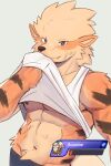 abs absurd_res anthro anthrofied arcanine arnd_dawn biped black_bottomwear black_clothing black_pants bodily_fluids bottomwear bruised bruised_arm bruised_belly bruised_face canid canine clothed clothing clothing_lift cute_fangs digital_media_(artwork) fangs fur gameplay_mechanics generation_1_pokemon grey_background grey_eyes gui half-length_portrait health_bar hi_res ingame_assets male male_anthro mammal muscular muscular_anthro muscular_male navel nintendo nipples orange_body orange_fur pants pecs pokemon pokemon_(species) portrait shirt shirt_lift simple_background smile smiling_at_viewer solo striped_body striped_fur stripes sweat teeth topwear white_clothing white_shirt white_topwear wiping_sweat