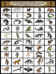 2017 3:4 ambiguous_gender american_mythology amphibian amphicyonid anthro ape aquatic archaeocete avian axe azhdarchid baboon basilosaurid bat bat_wings beard bird black_body black_feathers black_fur black_scales blue_eyes bovid bow_(weapon) brown_body brown_feathers brown_fur cadborosaurus canid caprine cephalopod cetacean champsosaur chupacabra coleoid crocodylomorph cryptid dakota_mythology dinosaur domestic_pig dover_demon english_text facial_hair feathered_dinosaur feathered_scalie feathers feet felid feral frog fur gecko goat green_body green_eyes green_scales grey_body grey_feathers grey_fur grey_skin ground_sloth hair haplorhine hi_res hogzilla holding_axe holding_bow_(weapon) holding_object holding_ranged_weapon holding_torch holding_weapon hominin honey_island_swamp_monster horn hublerdon humanoid hybrid indigenous_north_american_mythology jersey_devil kangaroo lepidosaur lizard loveland_frog macropod male mammal marsupial membrane_(anatomy) membranous_wings miniwashitu mollusk monkey mosasaur mothman murid murine mythological_avian mythological_bird mythological_creature mythological_rainbird mythological_thunderbird mythology nightjar nimerigar north_american_mythology octopodiform octopus oklahoma_octopus old_world_monkey orange_eyes orange_hair pilosan pope_lick_monster prehensile_feet prehistoric_species primate pterosaur quiver_(object) ranged_weapon rat red_eyes reptile rhinoceros rodent sasquatch saurischian sauropodomorph scales scalie sea_serpent sheep shoshone_mythology skunk_ape sloth snapping_turtle species_name suid suine sus_(pig) synapsid tarsier teratornithid text theropod toad_(frog) toes torch turtle tyrannosaurid tyrannosauroid weapon whale wild_boar wings xenarthran yellow_eyes