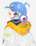  1girl ahoge animal black_eyes blue_hair drawstring frog frog_hair_ornament from_behind hair_ornament hood hooded_jacket jacket kero-chan_(lunch) looking_at_viewer looking_back lunch_(lunchicken) open_mouth original red_eyes simple_background smile solo upper_body white_background 