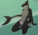  2019 abs anthro athletic athletic_anthro athletic_male big_tail black_body black_scales digital_media_(artwork) dorsal_fin erection fin fish genitals gills great_white_shark grey_body grey_scales hi_res kneeling lamnid lamniform looking_back lying_on_hands male marine multi_genitalia multi_penis nude penis pinup pose saha(zypter) scales shark simple_background solo tail_fin teeth zypter 
