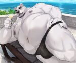  1boy animal_ears bara bear_boy bear_ears belly black_male_swimwear blue_sky borealis_(live_a_hero) bulge claws cocktail_glass commentary_request commission cup drinking_glass fat fat_man furry furry_male highres holding holding_cup live_a_hero lying male_focus male_swimwear navel nipples ocean okusu_(oaks16) on_side open_mouth skeb_commission sky smile sweat topless_male 