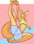  anthro big_ears bottomwear bra breasts canid canine clothing dipstick_tail f_draws female flexible fluffy fluffy_tail fox half-closed_eyes hi_res legs_raised looking_at_viewer mammal midriff multicolored_tail nails narrowed_eyes shorts solo sports_bra tight_clothing underwear 