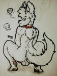  &lt;3 3:4 absurd_res anthro backsack balls butt canid canine canis collar crouching fur genitals hi_res looking_at_viewer looking_back male mammal paper pawpads penis pjg69 rear_view solo traditional_media_(artwork) white_body white_fur wolf 