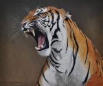  ambiguous_gender black_lips chandlerwildlifeart fangs felid feral lips mammal oil_painting_(artwork) open_mouth painting_(artwork) pantherine photorealism roaring solo stripes tiger traditional_media_(artwork) whiskers 