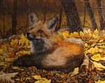  ambiguous_gender canid canine danburgesstheartist feral forest fox fur leaf mammal oil_painting_(artwork) orange_body orange_fur outside painting_(artwork) photorealism realistic solo traditional_media_(artwork) tree 
