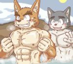  2006 anthro barazoku bathing black_body black_fur blush brown_body brown_fur canid canine canis domestic_cat domestic_dog felid feline felis fur humanoid_hands kemono low_res male mammal muscular muscular_male nipples outside s_h_o snow water 