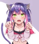  1girl animal_ear_fluff animal_ears breasts cat_ears cat_tail cleavage collarbone commentary earrings fangs green_eyes hair_ornament hairclip hands_up highres hololive jacket jewelry long_hair multicolored_hair multiple_earrings navel no_hat no_headwear off-shoulder_jacket open_mouth paw_pose pink_hair purple_eyes sidelocks simple_background small_breasts solo tail tenpura_noraneko tokoyami_towa twintails two-tone_hair virtual_youtuber white_jacket 