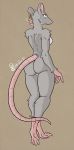  2020 absurd_res anthro breasts butt digitigrade ear_piercing female fur genitals grey_body grey_fur hi_res mammal murid murine nipples piercing pussy rat rodent scrating_head shira_(vuko-jebina) simple_background solo vuko-jebina yellow_eyes 