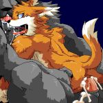  1:1 2006 anal anthro anus balls black_body black_fur bodily_fluids brown_body brown_fur butt canid canine cum digital_media_(artwork) drooling duo ejaculation fur genital_fluids genitals humanoid_genitalia humanoid_penis kemono low_res male male/male mammal oekaki penis saliva sitting tongue tongue_out unknown_artist 