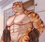  abs absurd_res anthro big_pecs clothing episode0006 felid fur hi_res male mammal muscular muscular_anthro muscular_male nipples orange_body orange_fur pantherine pecs pink_nipples pink_nose pubes solo striped_body striped_fur stripes tiger undressing 