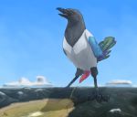  2018 4_toes anisodactyl avian bird black_feet blue_sky bodily_fluids city corvid destruction feathers feral genital_fluids genitals macro magpi magpie_(corvid) male mega_macro mountain multicolored_body multicolored_feathers oscine passerine peeing penis pink_penis sky solo tapering_penis toes urine urine_flood 